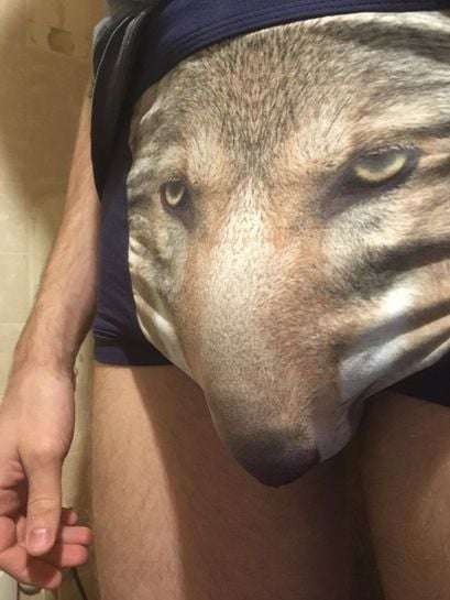 Create meme: wolf underpants, men's underpants with a wolf, meme cowards with a wolf