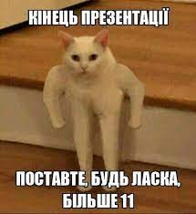 Create meme: meme cat , the cat from memchiki, cat meme Polyot
