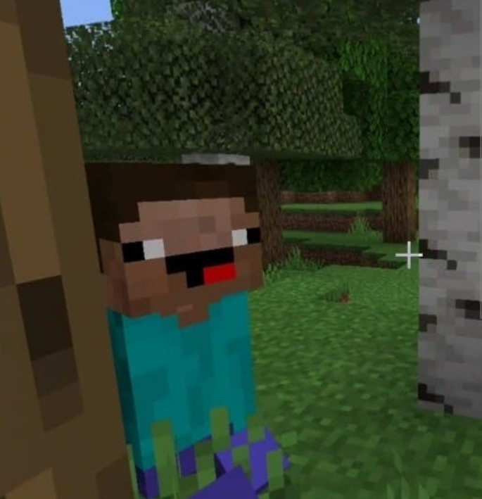 Create meme: Steve in minecraft, girl of the Nuba in minecraft, skins minecraft