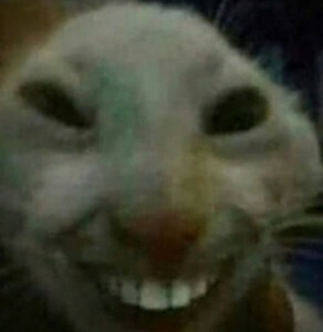 Create meme: smiling cat meme, cat smiles meme with teeth, the meme cat smiles