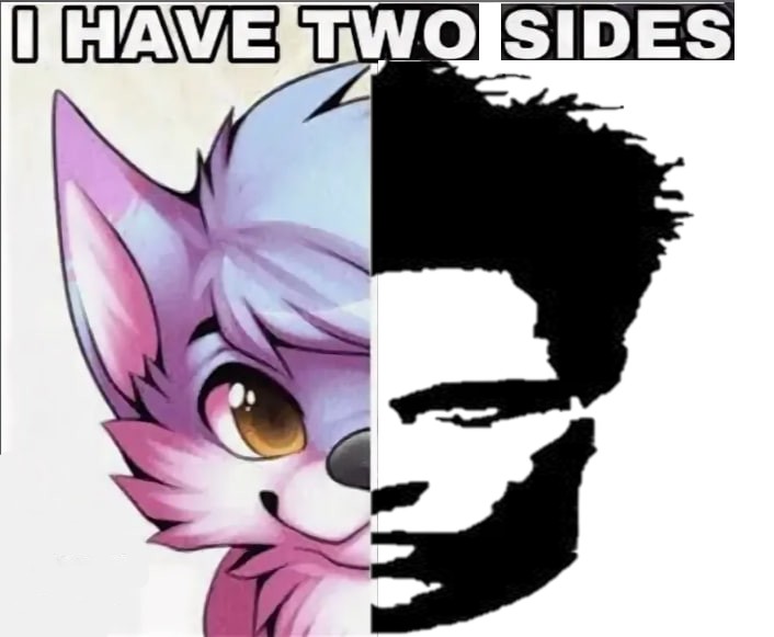 Create meme: i have 2 sides, i have 2 sides meme, i have two sides sensitive femboy fox