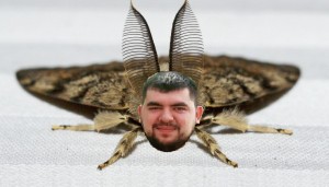 Create meme: big moth, mol, mol a