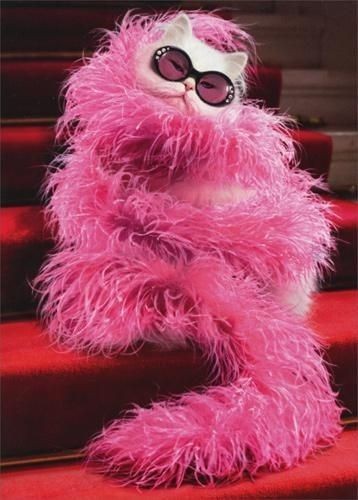 Создать мем: fluffy, пушистый, pink monster