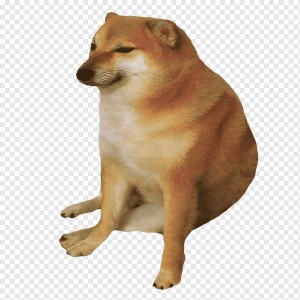 Create meme: meme with dog, Shiba inu meme, Shiba inu
