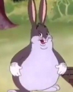 Создать мем: толстый кролик мем, мультфильм, банни