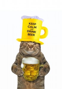 Создать мем: кружка кот и пиво, котик с кружкой пива, кот с пивом