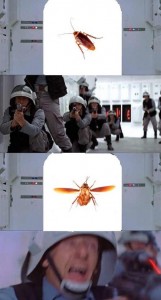Создать мем: уничтожение клопов и тараканов, мемы с тараканами, таракан