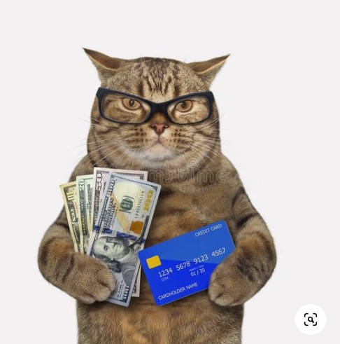 Создать мем: кот с мешком денег, котик с деньгами, кот
