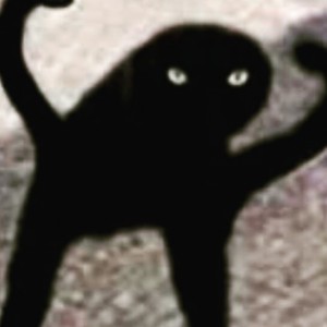 Создать мем: мем черная кошка с руками, страдающий кот, черный кот ъуъ