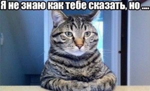 Создать мем: кот, хороший кот, котики смешные