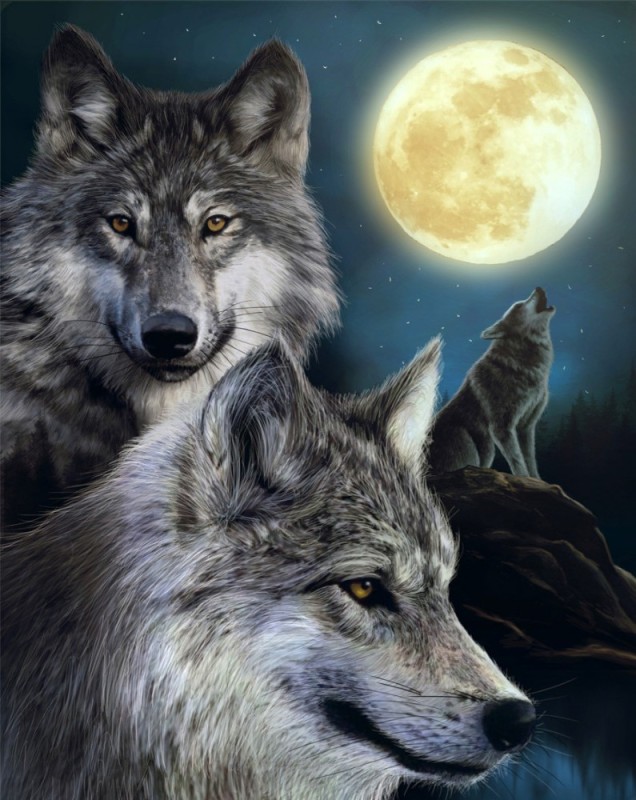 Create meme: wolf pack , wolf, freya wolf diamond mosaic