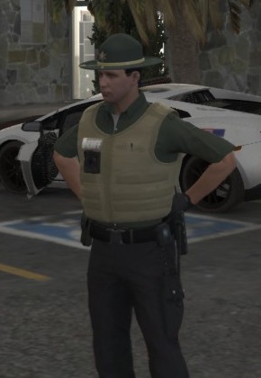 Create meme: grand theft auto 5 , gta , sheriff samp bulletproof vest
