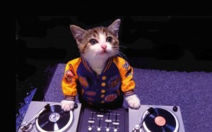 Create meme: DJ, dj cat, Original MegaMix