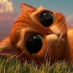 Create meme: puss in boots eyes , cat Shrek eyes, Shrek cat