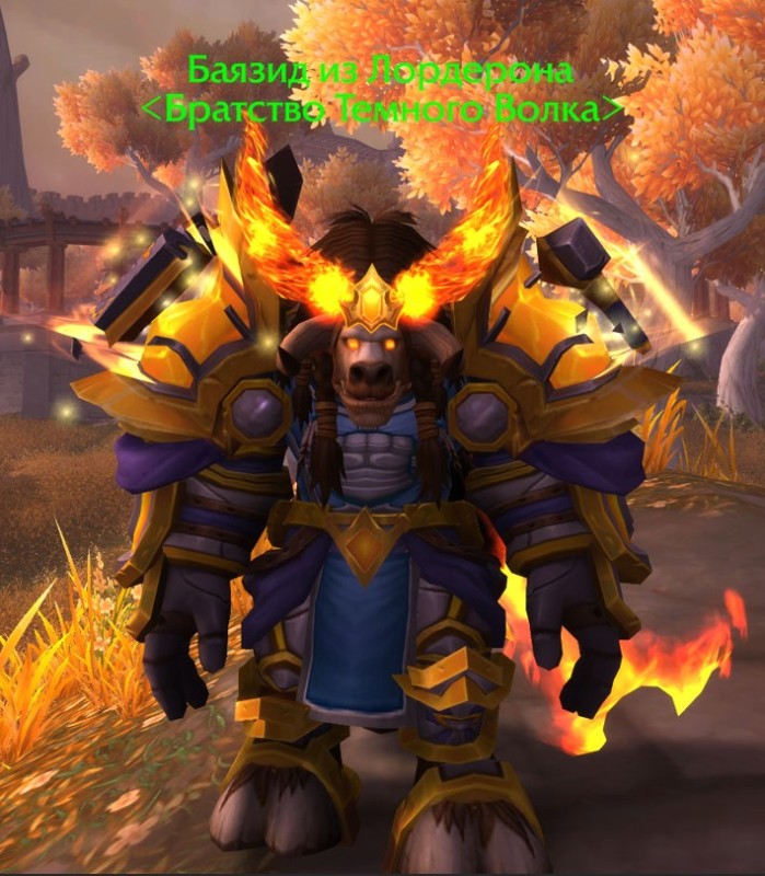 Create meme: Shaman wow, Pandaren monk transmog, Tauren shaman