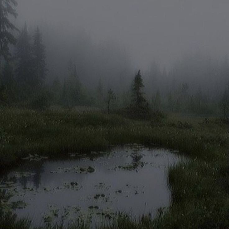 Create meme: landscape swamp, thick fog , nature fog