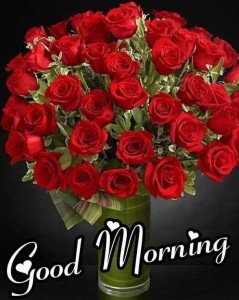 Create meme: beautiful bouquet, beautiful roses, bouquet of roses red