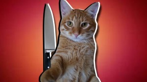 Create meme: tiger cat Brian, cat, the cat with a knife