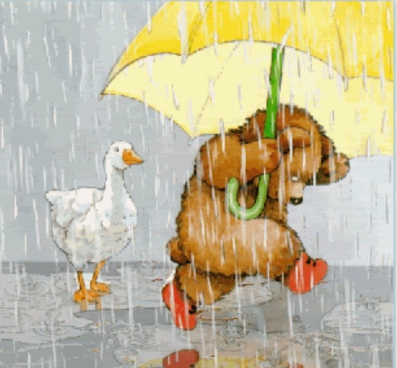 Создать мем: доброе дождливое утро, доброе утро в дождливый день, открытки с добрым дождливым утром