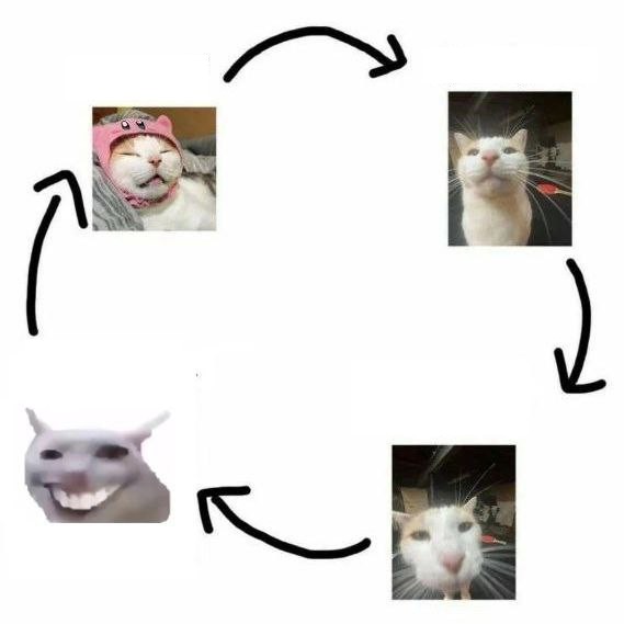 Create meme: memes , cringe the cat, meme cat 
