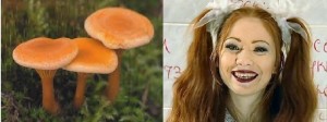 Create meme: false chanterelle, mushrooms edible, Milena Fox