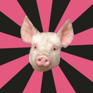 Create meme: a pig, piglet, pig