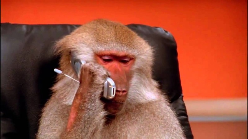 Create meme: a chimp with a phone, a monkey with a phone in his hand, meme monkey 