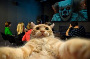 Create meme: famous cats, selfie animals, Johnny Catsvill and IT