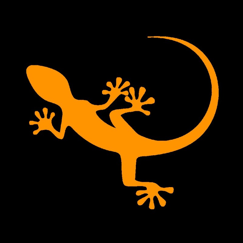 Create meme: gecko lizard, Gecko , lizard chameleon