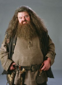 Create meme: Hagrid from Harry, young Rubeus Hagrid, Harry Potter