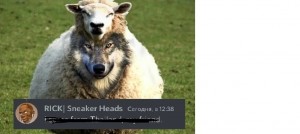Create meme: sheep meme, a wolf in sheep's clothing