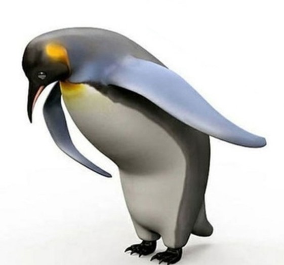 Create meme: penguin , penguin bird, penguin meme