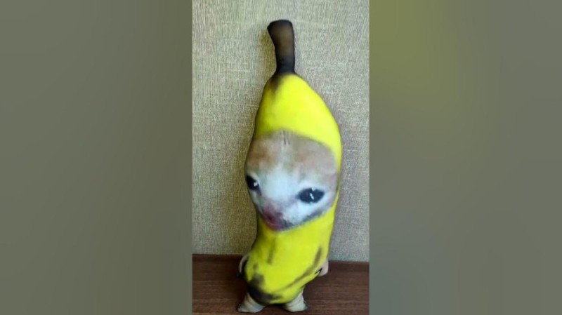 Create meme: a banana, toy banana, cat banana