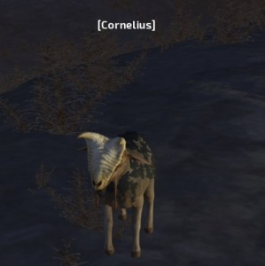 Создать мем: волк в wolfquest anniversary edition, скриншот, Скриншот