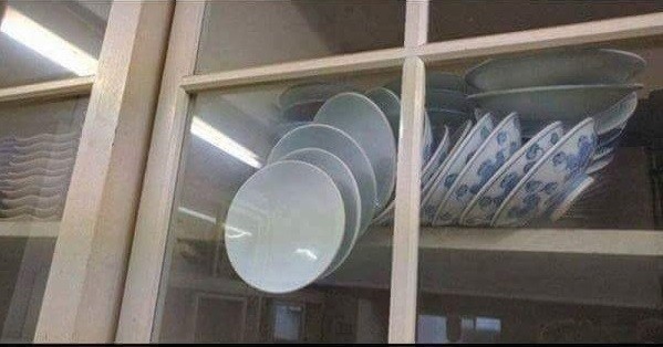 Create meme: schrodinger plates, schrodinger dishes, dishes