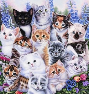 Создать мем: картинки котов для декупажа, много разноцветных кошек картины чьи, коллаж из котиков