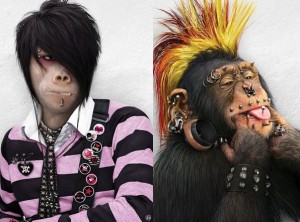 Создать мем: обезьяна с пирсингом в носу, эмо кид 2007, неформалы