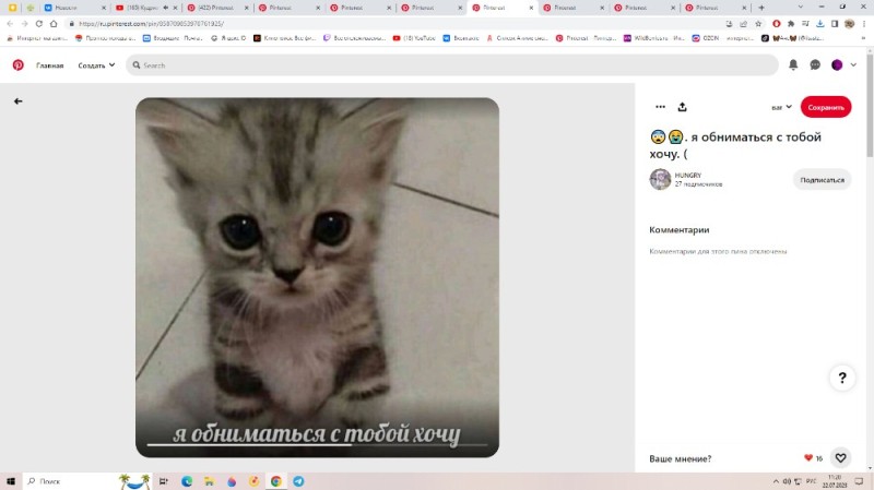 Create meme: memes with kittens , my cat , cute cats 