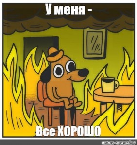 Создать мем: мем собака в огне, собака в горящем доме, this is fine