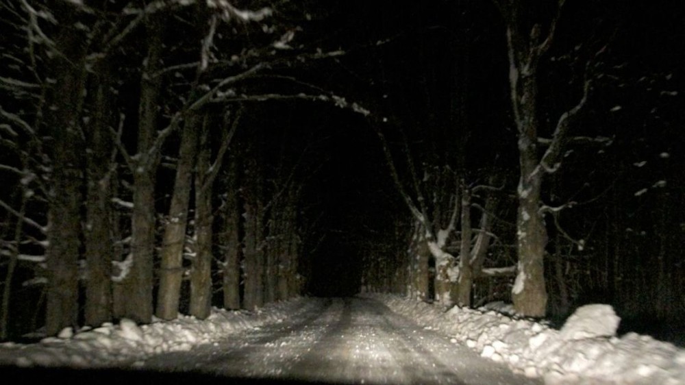 Create meme: winter road, snow , dark forest
