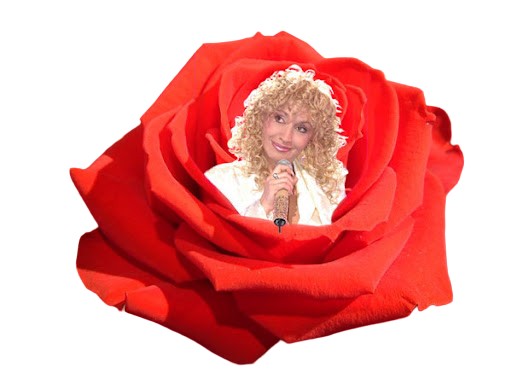 Создать мем: алла пугачёва миллион алых роз, алла пугачева миллион алых роз, с днем рождения ирина аллегрова