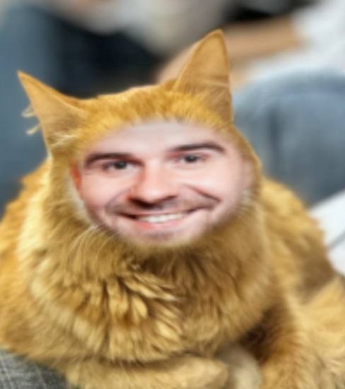 Create meme: people , Samvel Adamyan cat, cat 