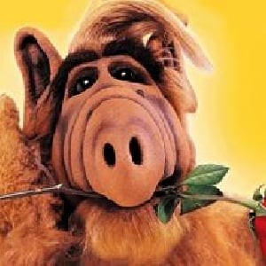 Create meme: the alf series, alf dvd, Alf from the planet Melmak