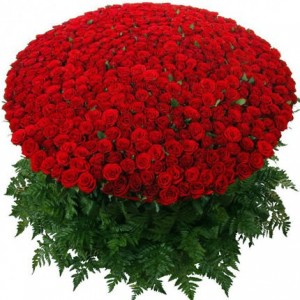 Create meme: bouquet of 101 roses, a large bouquet, a large bouquet of roses