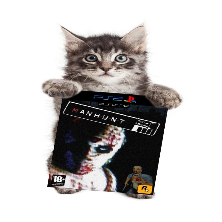 Create meme: manhunt game, The game manhunt 3, cat 