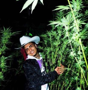 Создать мем: cannabis, растаманки фото, колумбия марихуана