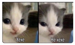 Создать мем: кет камера кэт, кот, плачущие коты мемы
