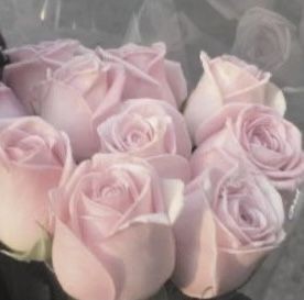 Create meme: pink roses , roses are delicate, peony roses 