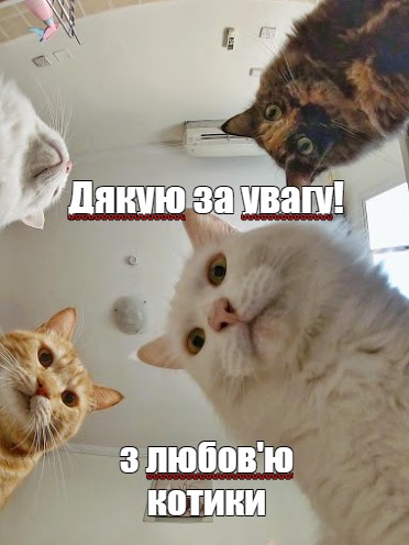Create meme: memes cat, cat , natasha cats