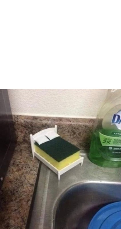 Create meme: sponge for washing dishes, sponge for washing, sponge for the bed